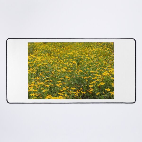 Item preview, Expansive Yellow Flower Field With Wild Daisies Blooming In Sunny Meadow Landscape designed and sold by Nmallia.