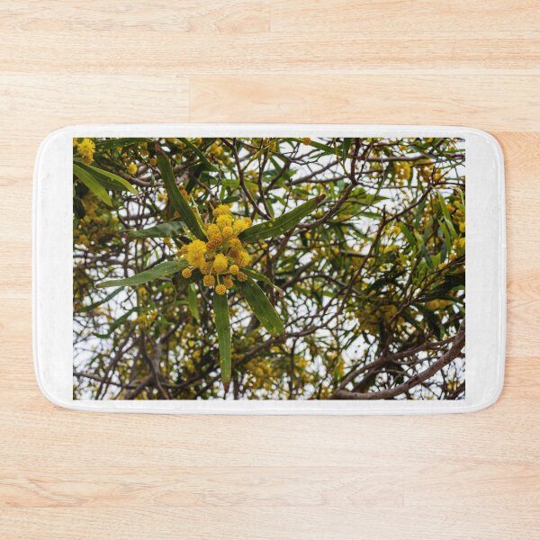 Item preview, Yellow Wattle Blossoms on Branches in Tree Canopy designed and sold by Nmallia.