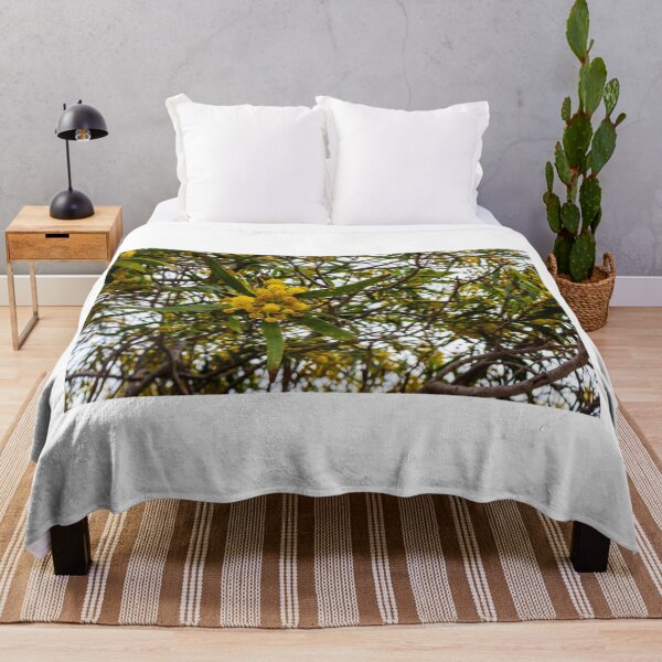 Item preview, Yellow Wattle Blossoms on Branches in Tree Canopy designed and sold by Nmallia.