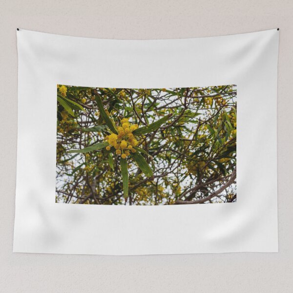 Item preview, Yellow Wattle Blossoms on Branches in Tree Canopy designed and sold by Nmallia.