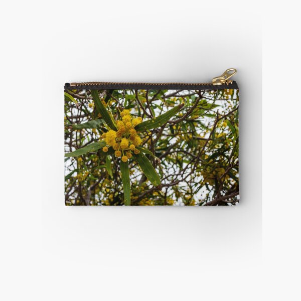 Item preview, Yellow Wattle Blossoms on Branches in Tree Canopy designed and sold by Nmallia.