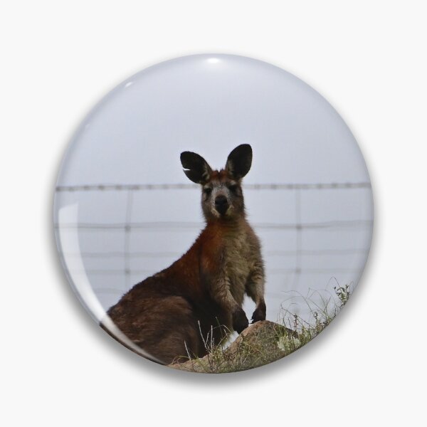 Item preview, Kangaroo on the hill designed and sold by Likoca Photography.