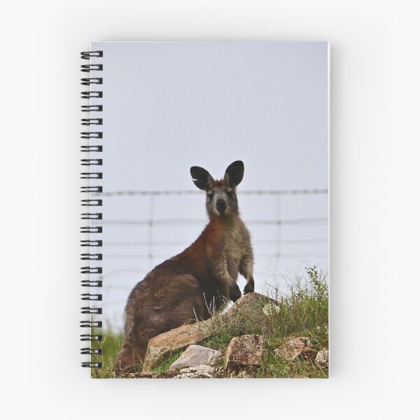 Item preview, Kangaroo on the hill designed and sold by Likoca Photography.