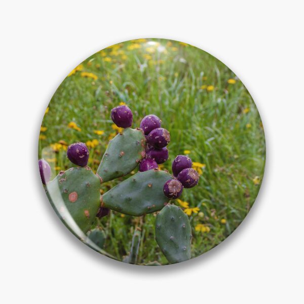 Item preview, Prickly Pear Cactus With Deep Purple Fruit In Wildflower Meadow On A Spring Day designed and sold by Nmallia.