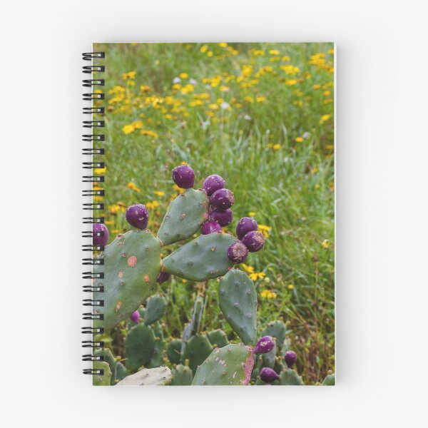 Item preview, Prickly Pear Cactus With Deep Purple Fruit In Wildflower Meadow On A Spring Day designed and sold by Nmallia.