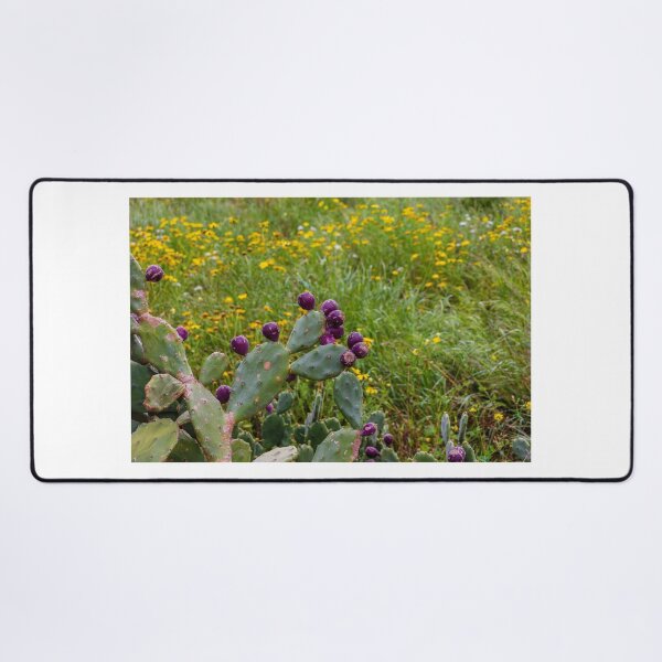 Item preview, Prickly Pear Cactus With Deep Purple Fruit In Wildflower Meadow On A Spring Day designed and sold by Nmallia.