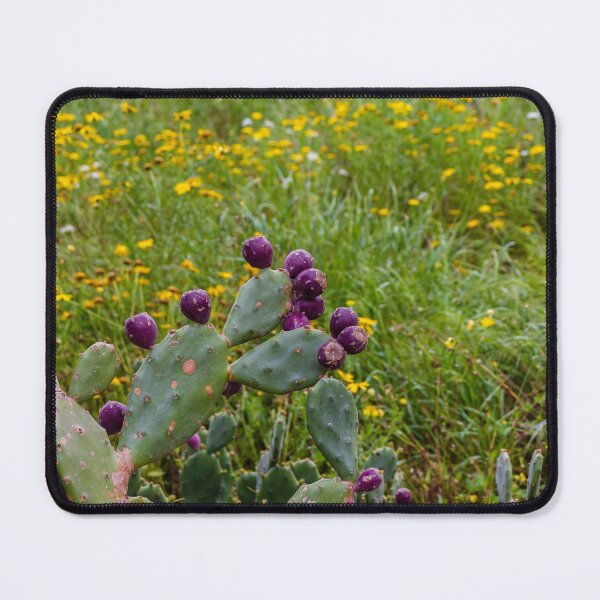 Item preview, Prickly Pear Cactus With Deep Purple Fruit In Wildflower Meadow On A Spring Day designed and sold by Nmallia.