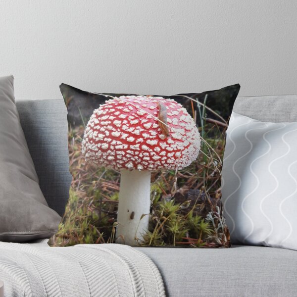 Artikelvorschau, Fliegenpilz (Amanita muscaria), wunderschöner roter Pilz mit Schnecke darauf. entworfen und verkauft von LinkFamilyStore.