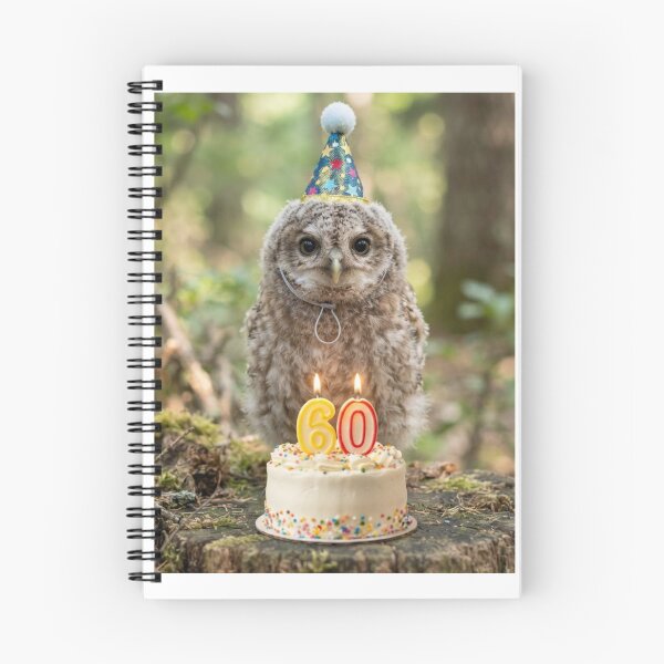 Item preview, Owl 60th birthday cute adorable cake party baby kawaii designed and sold by CheeseBlueprint.