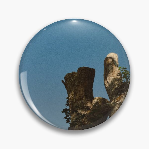 Item preview, broken tree shining in (partial) sunlight (callander, scotland) (july 2026) designed and sold by photosbykel.
