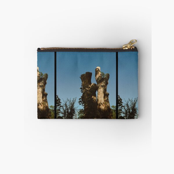 Item preview, broken tree shining in (partial) sunlight (callander, scotland) (july 2026) designed and sold by photosbykel.