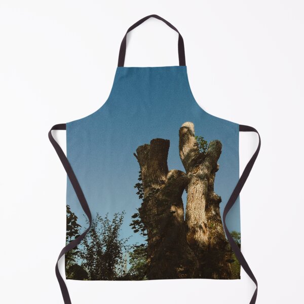 Item preview, broken tree shining in (partial) sunlight (callander, scotland) (july 2026) designed and sold by photosbykel.
