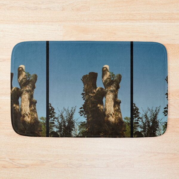 Item preview, broken tree shining in (partial) sunlight (callander, scotland) (july 2026) designed and sold by photosbykel.