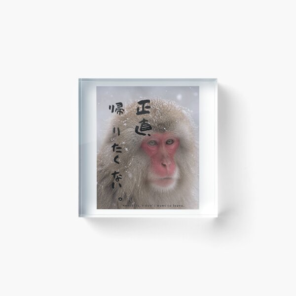 Item preview, Honestly I Dont Want to Leave | Snow Monkey Winter Scene | Japanese Design designed and sold by JapanMemoir.