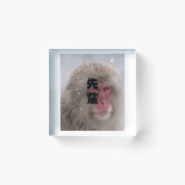 Item preview, Senpai | Snow Monkey Winter Scene | Japanese Design designed and sold by JapanMemoir.