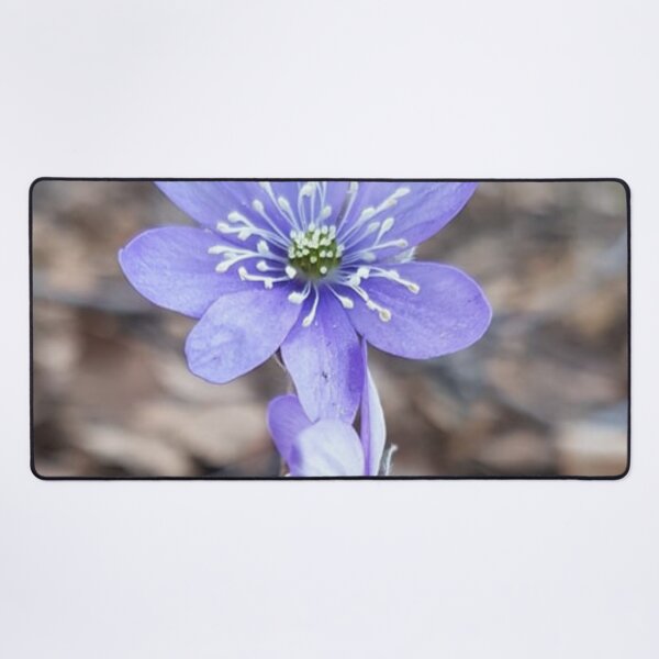 Aperçu de l'œuvre Fleur bleue qui fleurit au printemps créée et vendue par LinkFamilyStore.