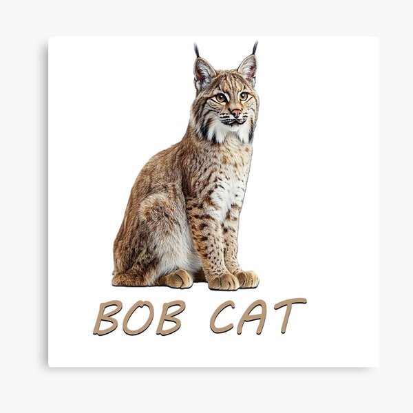 Item preview, Young Bobcat designed and sold by PSDesignWorks.