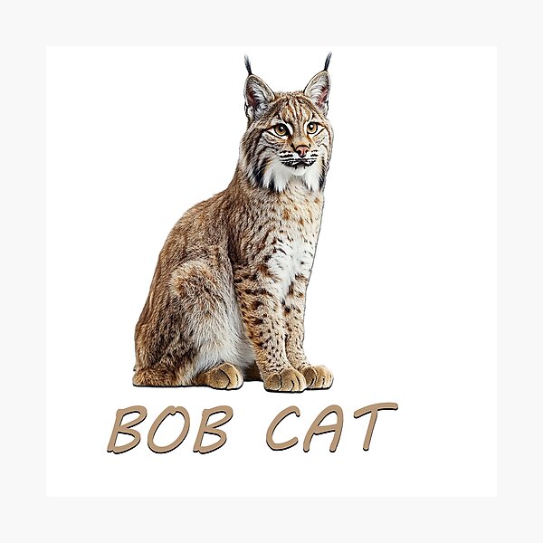 Item preview, Young Bobcat designed and sold by PSDesignWorks.