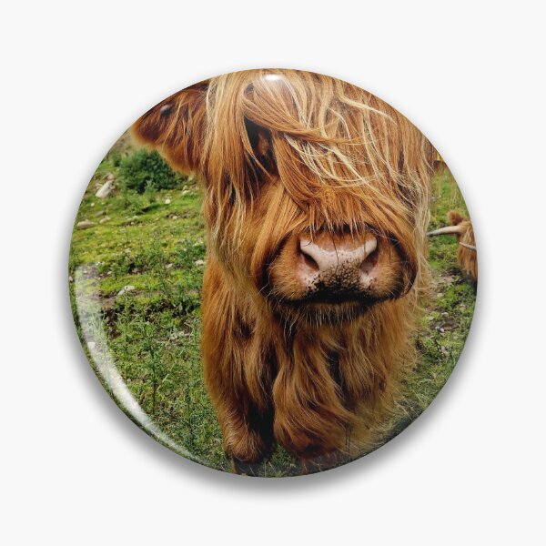 Item preview, Highland Cow #2 designed and sold by Pix-Perfect Photographs.