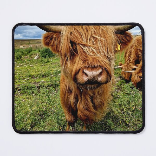 Item preview, Highland Cow #2 designed and sold by Pix-Perfect Photographs.