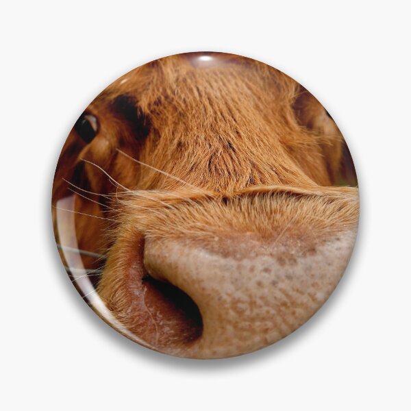 Item preview, Highland Cow designed and sold by Pix-Perfect Photographs.