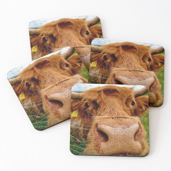 Item preview, Highland Cow designed and sold by Pix-Perfect Photographs.