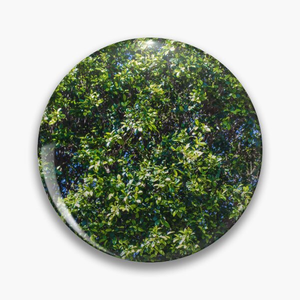 Item preview, Lush Green Hedge Foliage Close-Up With Sunlit Leaves And Blue Sky Background For Garden designed and sold by Nmallia.