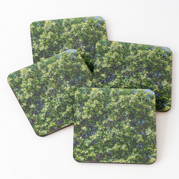 Item preview, Lush Green Hedge Foliage Close-Up With Sunlit Leaves And Blue Sky Background For Garden designed and sold by Nmallia.