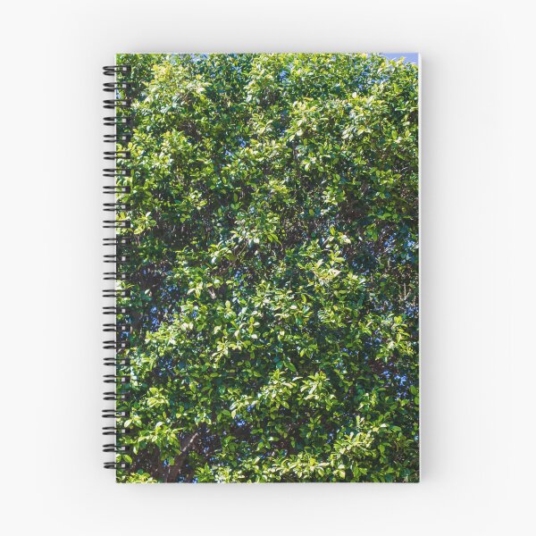 Item preview, Lush Green Hedge Foliage Close-Up With Sunlit Leaves And Blue Sky Background For Garden designed and sold by Nmallia.