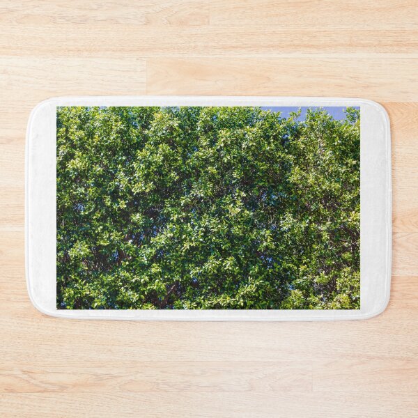 Item preview, Lush Green Hedge Foliage Close-Up With Sunlit Leaves And Blue Sky Background For Garden designed and sold by Nmallia.