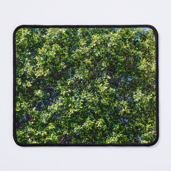 Item preview, Lush Green Hedge Foliage Close-Up With Sunlit Leaves And Blue Sky Background For Garden designed and sold by Nmallia.