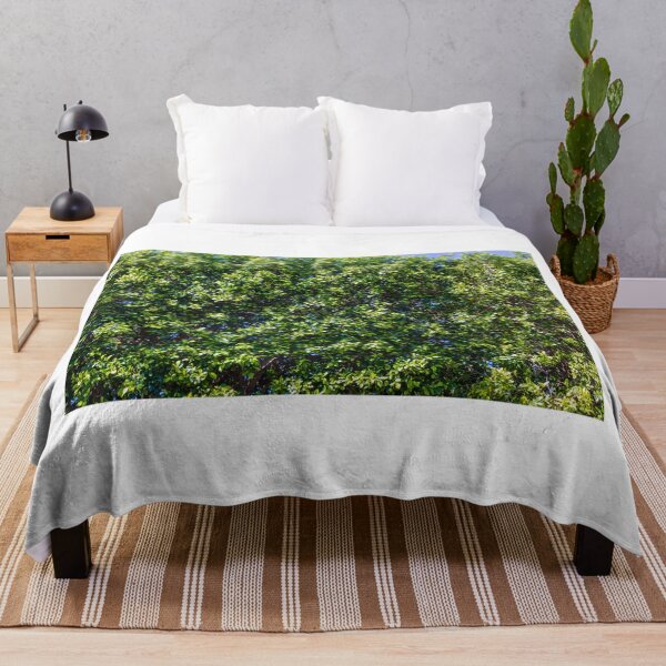 Item preview, Lush Green Hedge Foliage Close-Up With Sunlit Leaves And Blue Sky Background For Garden designed and sold by Nmallia.