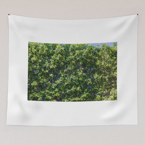 Item preview, Lush Green Hedge Foliage Close-Up With Sunlit Leaves And Blue Sky Background For Garden designed and sold by Nmallia.