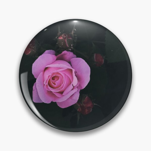Item preview, Single Pink Rose Moody Dark Floral Photography designed and sold by Nature Moments.