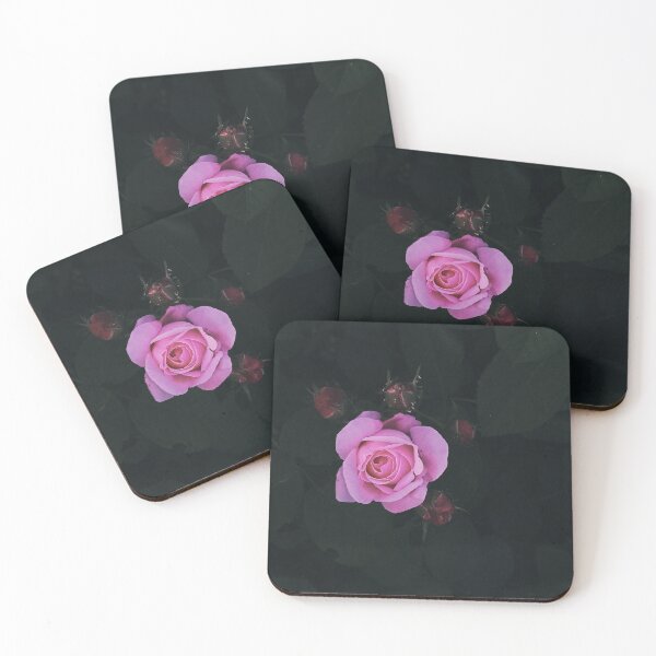 Item preview, Single Pink Rose Moody Dark Floral Photography designed and sold by Nature Moments.