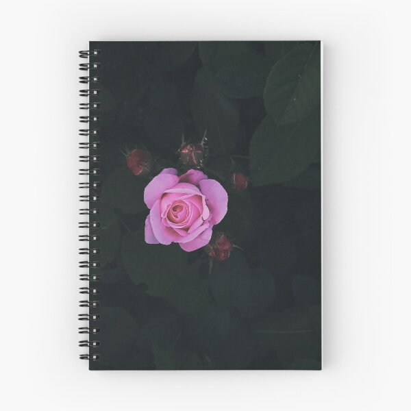 Item preview, Single Pink Rose Moody Dark Floral Photography designed and sold by Nature Moments.