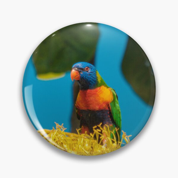 Item preview, Rainbow Lorikeet designed and sold by Taran Skye Photography .