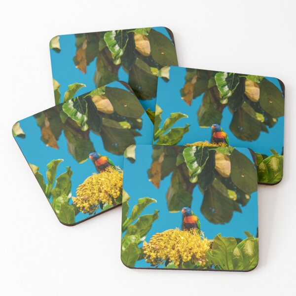 Item preview, Rainbow Lorikeet designed and sold by Taran Skye Photography .