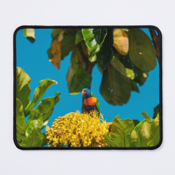 Item preview, Rainbow Lorikeet designed and sold by Taran Skye Photography .