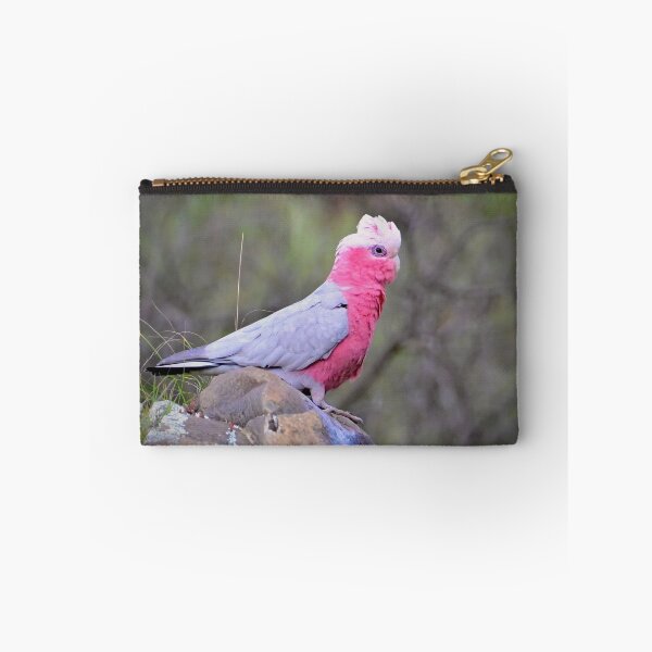 Item preview, Australian Galah on a rock designed and sold by Likoca Photography.