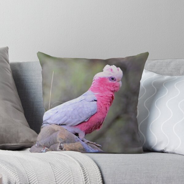 Item preview, Australian Galah on a rock designed and sold by Likoca Photography.