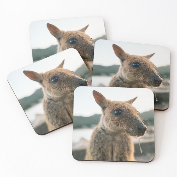 Item preview, Wallaby Drool designed and sold by Taran Skye Photography .