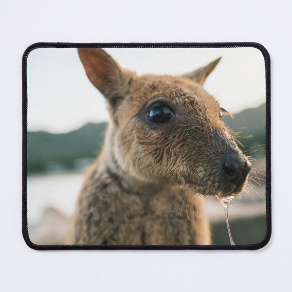 Item preview, Wallaby Drool designed and sold by Taran Skye Photography .