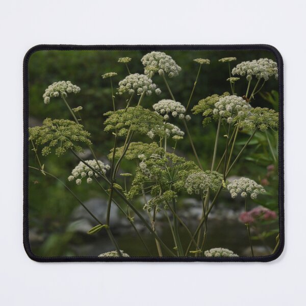 Item preview, Woodland Angelica designed and sold by TNT-Atelier.