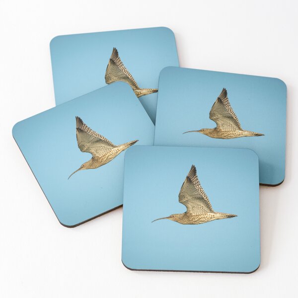 Item preview, Eurasian Curlew (Numenius arquata)  designed and sold by Stephen Jarman.