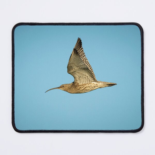 Item preview, Eurasian Curlew (Numenius arquata)  designed and sold by Stephen Jarman.