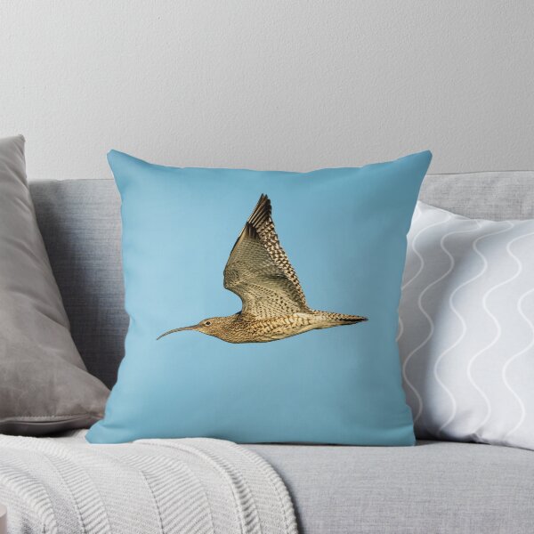 Item preview, Eurasian Curlew (Numenius arquata)  designed and sold by Stephen Jarman.
