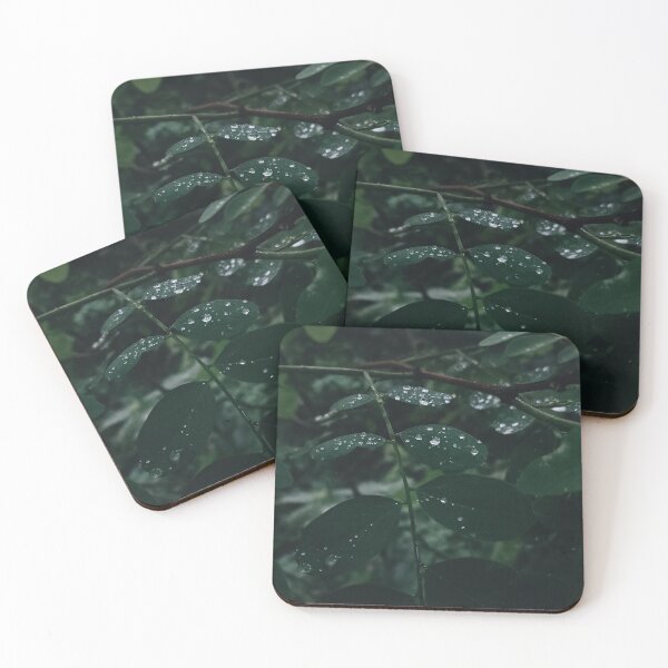 Item preview, Raindrops on Green Leaves Moody Nature Photography designed and sold by Nature Moments.