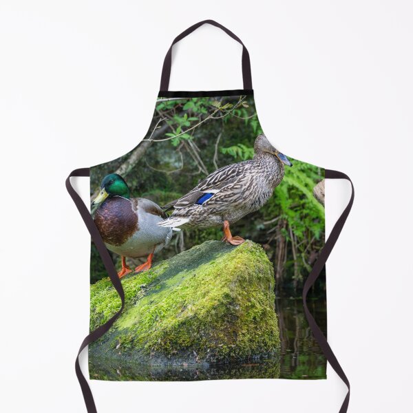 Item preview, Two Mallard ducks (Anas platyrhynchos) designed and sold by Stephen Jarman.