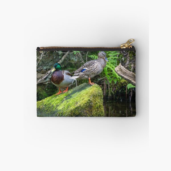 Item preview, Two Mallard ducks (Anas platyrhynchos) designed and sold by Stephen Jarman.